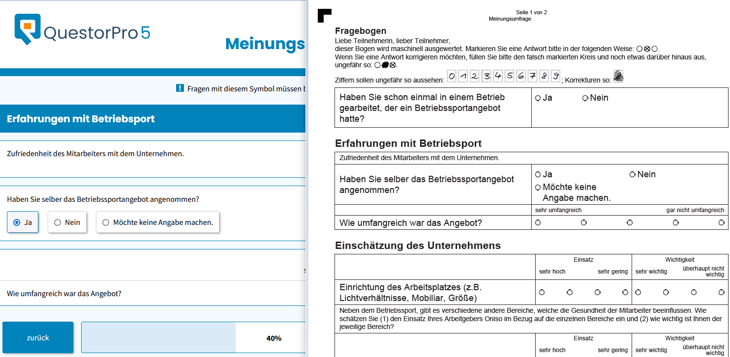 Bildschirmfoto mit jeweils einem Ausschnitt des Papier- und des Online-Fragebogens