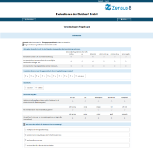 Bildschirmfoto vom Online-Fragebogen in Zensus